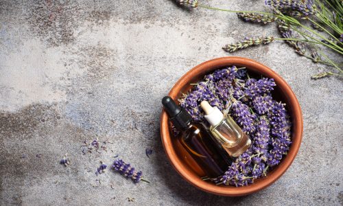 Lavender essential oil A terracotta bowl filled with fresh lavender flowers holds two small dropper bottles, one amber and one clear, on a textured gray surface with loose lavender sprigs scattered nearby.